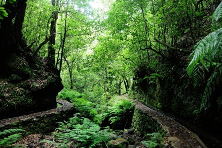 RIBEIRO FRIO